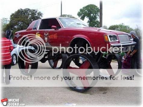 donk36s.jpg