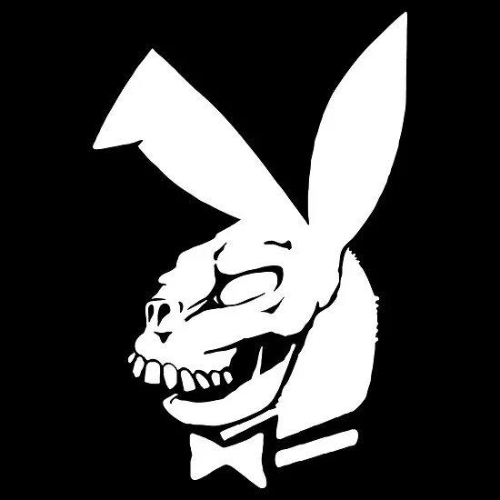 donnie-playboy.webp