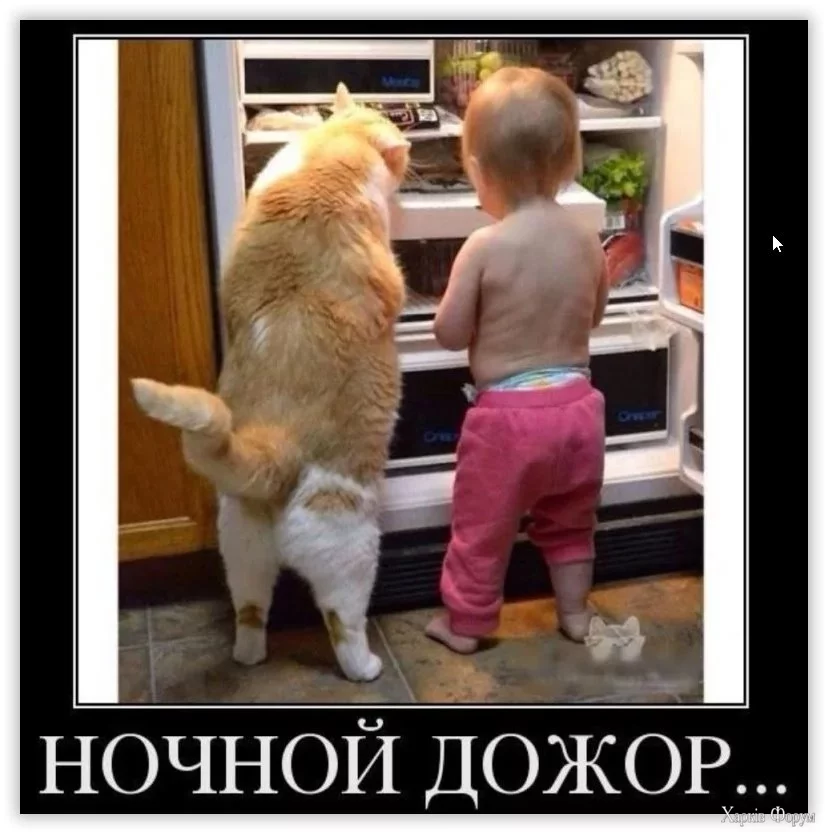  дожор.webp