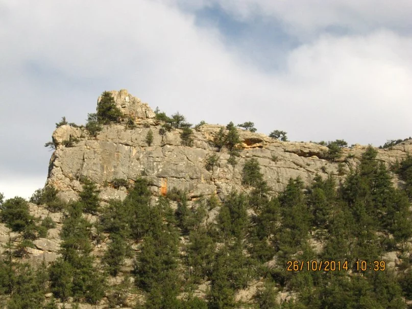Dp7sJ_yDaeQ.webp