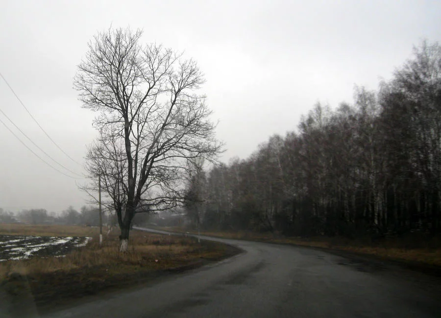 driving_by_a_sha_f-d5xry8y.webp