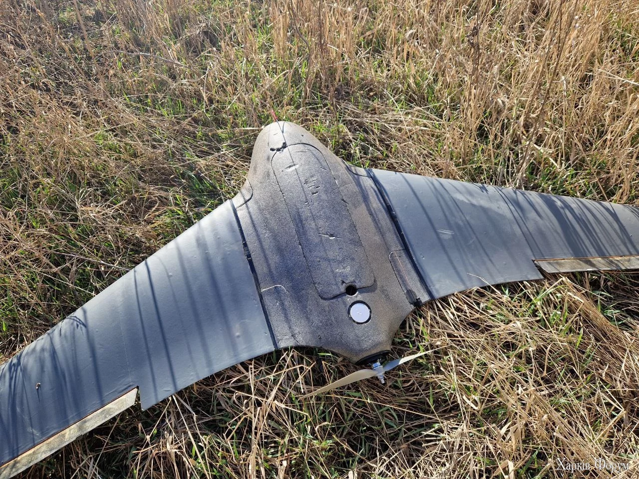 dron-chernika-2.webp