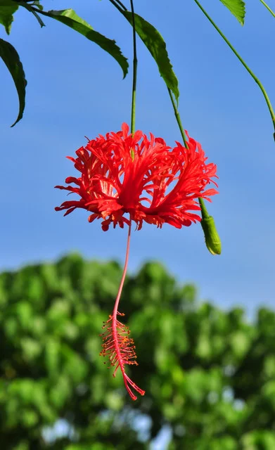 DSC-0022.webp