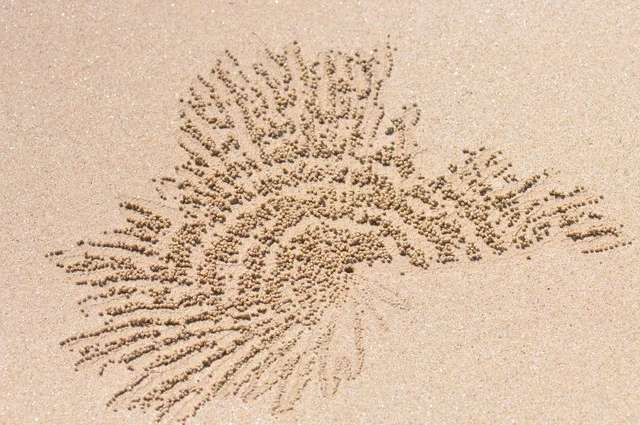 DSC-0043.webp