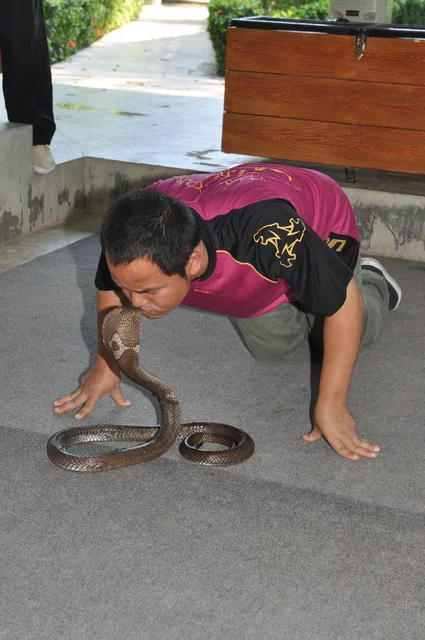 DSC-0324.webp