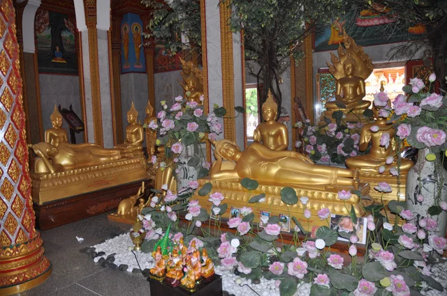 DSC-0466.webp