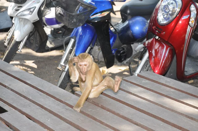 DSC-0539.webp