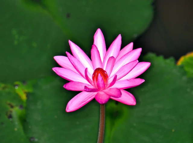 DSC-0810.webp