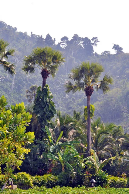 DSC-0943.webp
