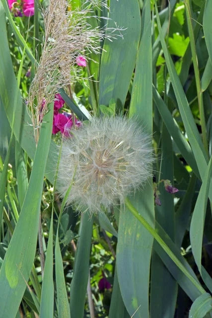 DSC-4819.webp