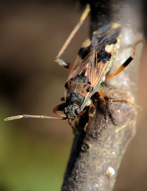 DSC-5957.webp