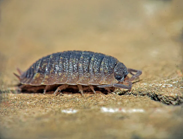 DSC-6123.webp