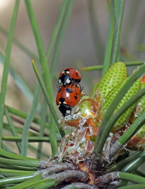 DSC-6206.webp