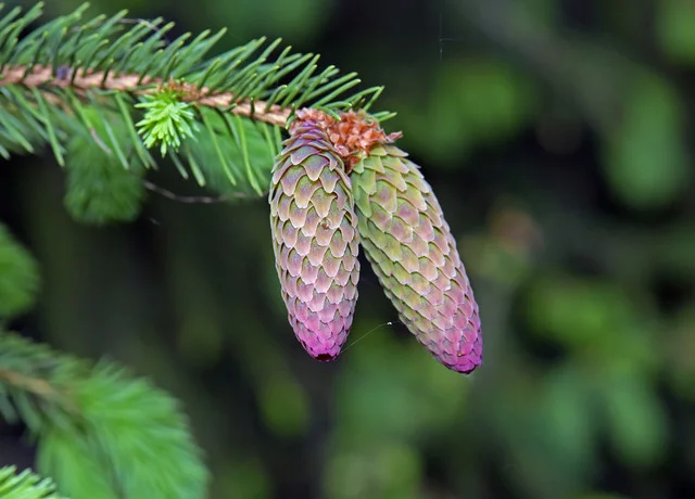 DSC-6287.webp