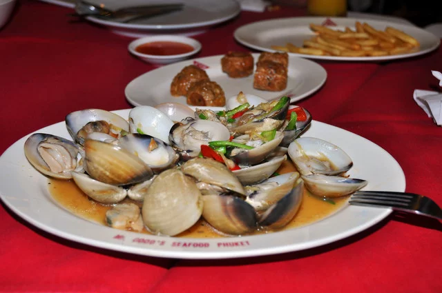 DSC-8231.webp