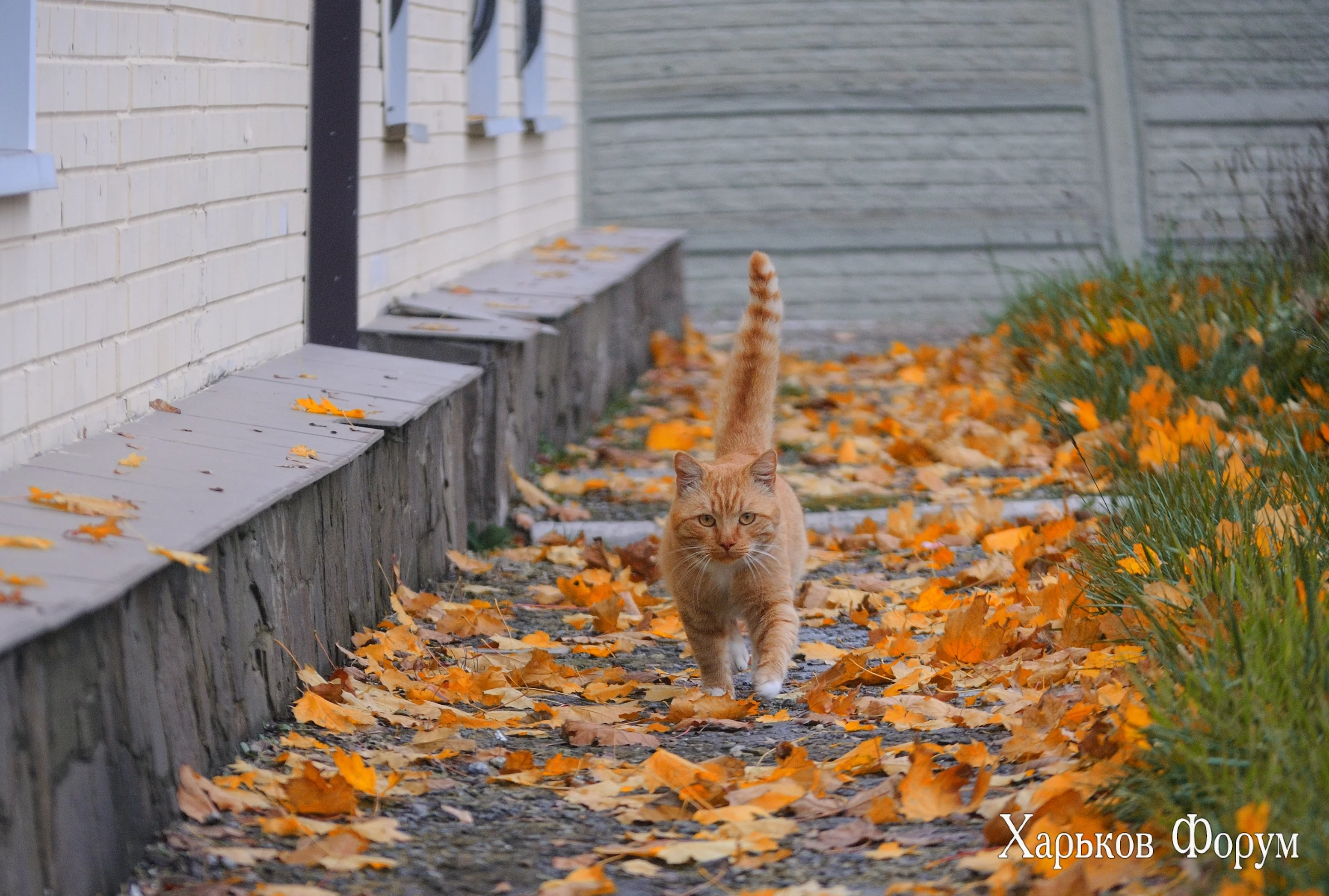 DSC-9883.webp