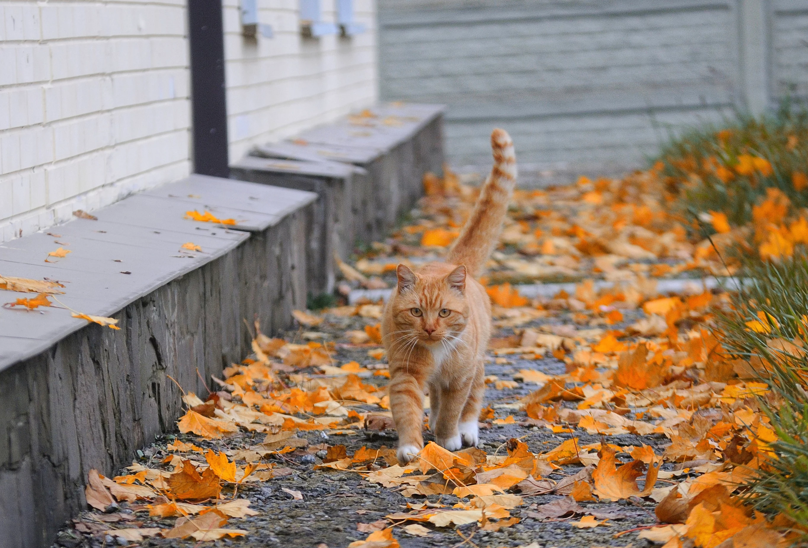 DSC-9885.webp