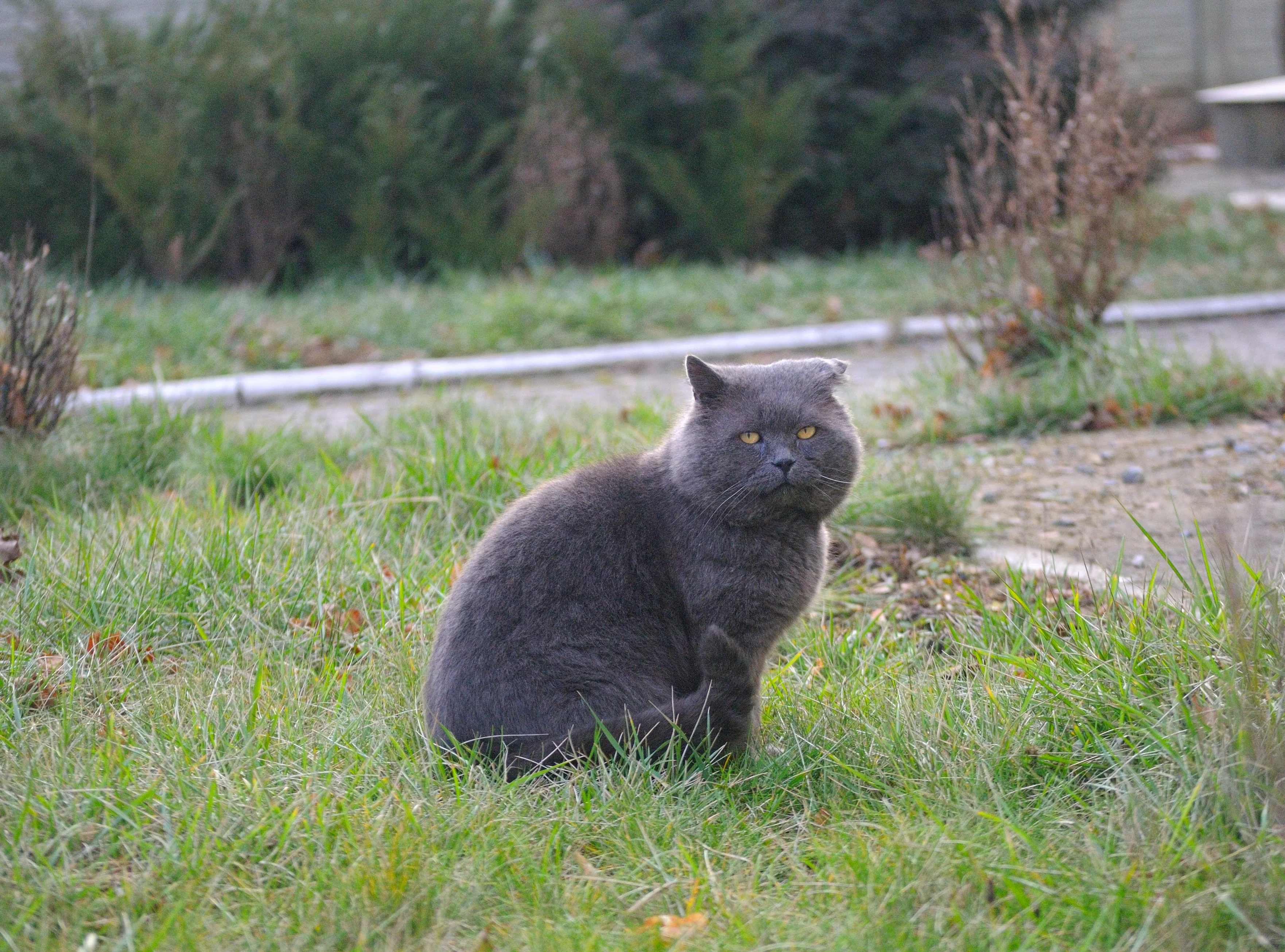 DSC-9955.webp