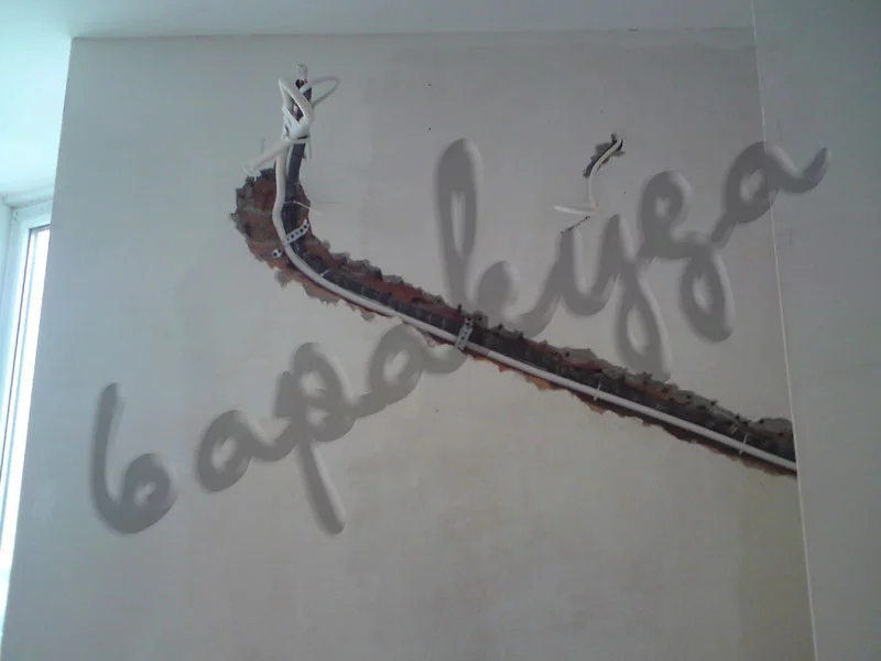DSC00106.webp
