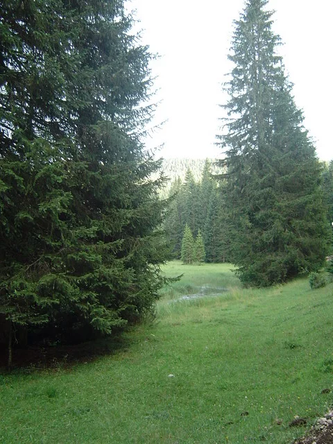 dsc00840.webp