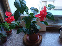 DSC02165_1.jpg