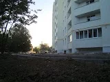 DSC03186.webp