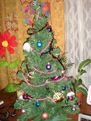 DSC04095.jpg