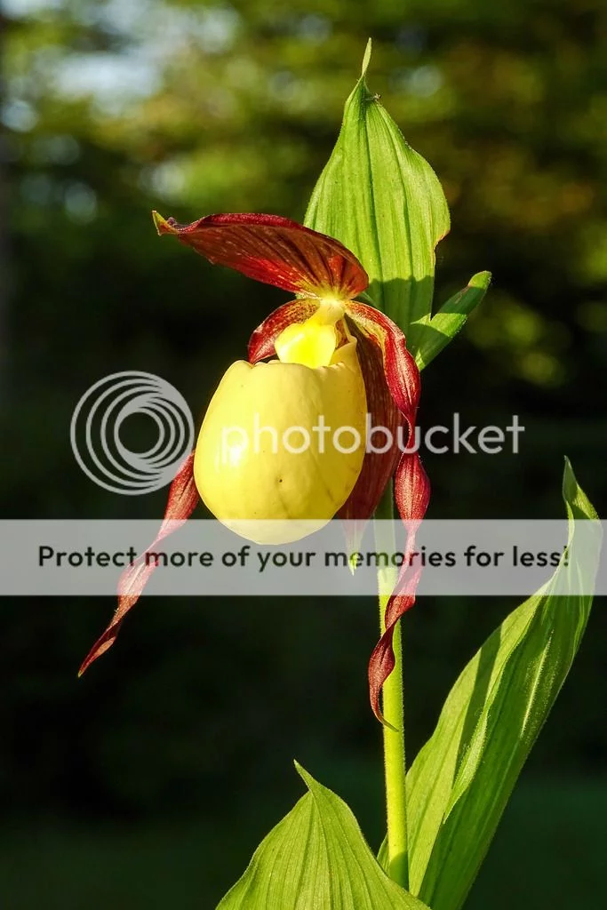 DSC06120_lr_zpss5h7g2ll.webp
