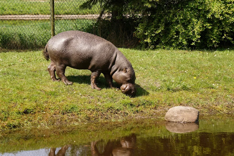 DSC06666.webp