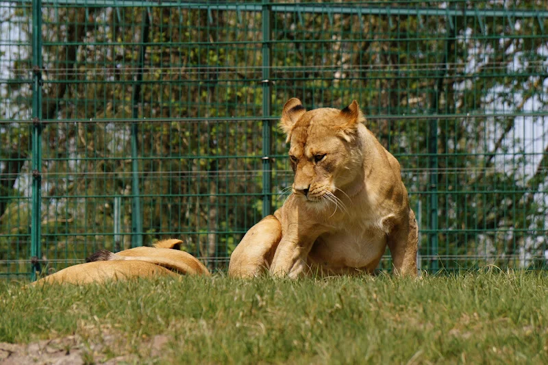 DSC06786.webp