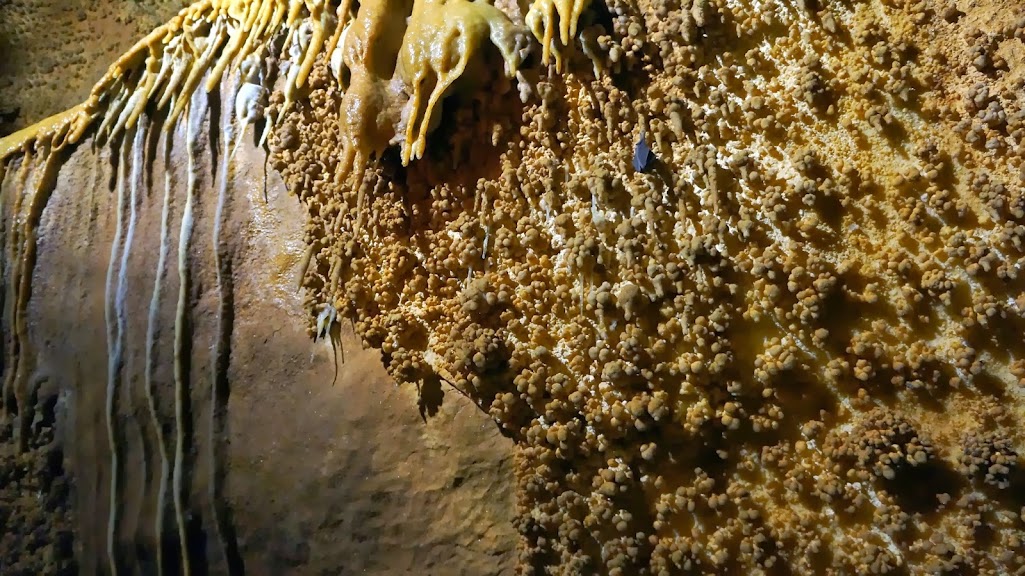 DSC07924.jpg
