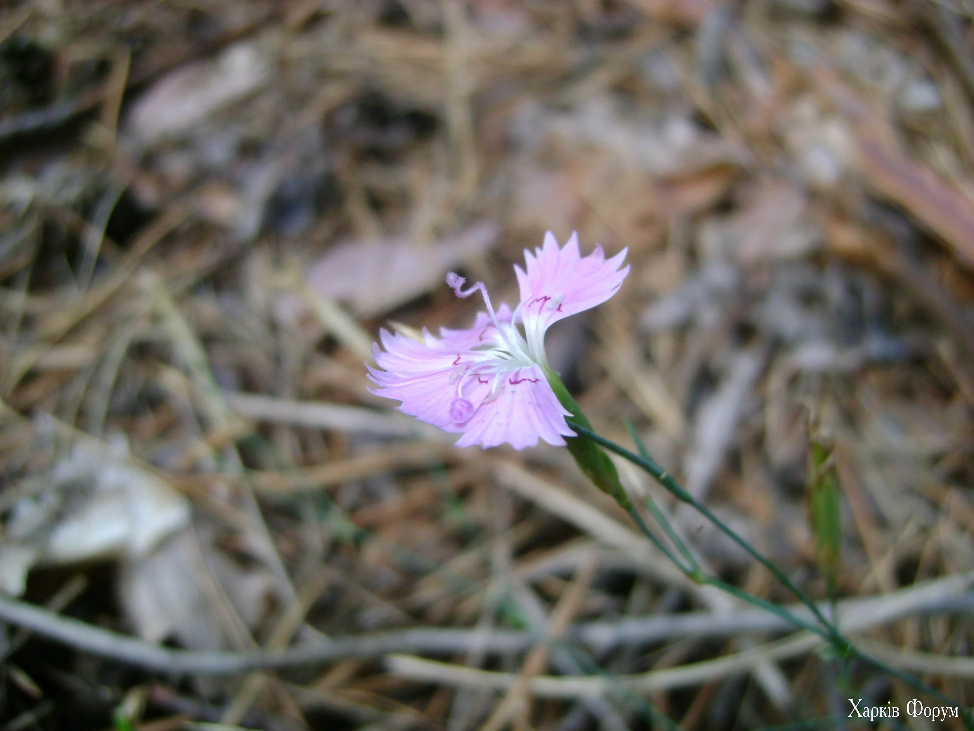 DSC08212.webp