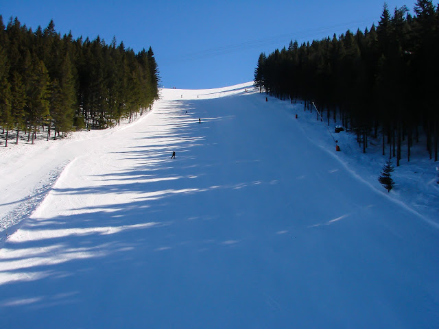 DSC08694.jpg