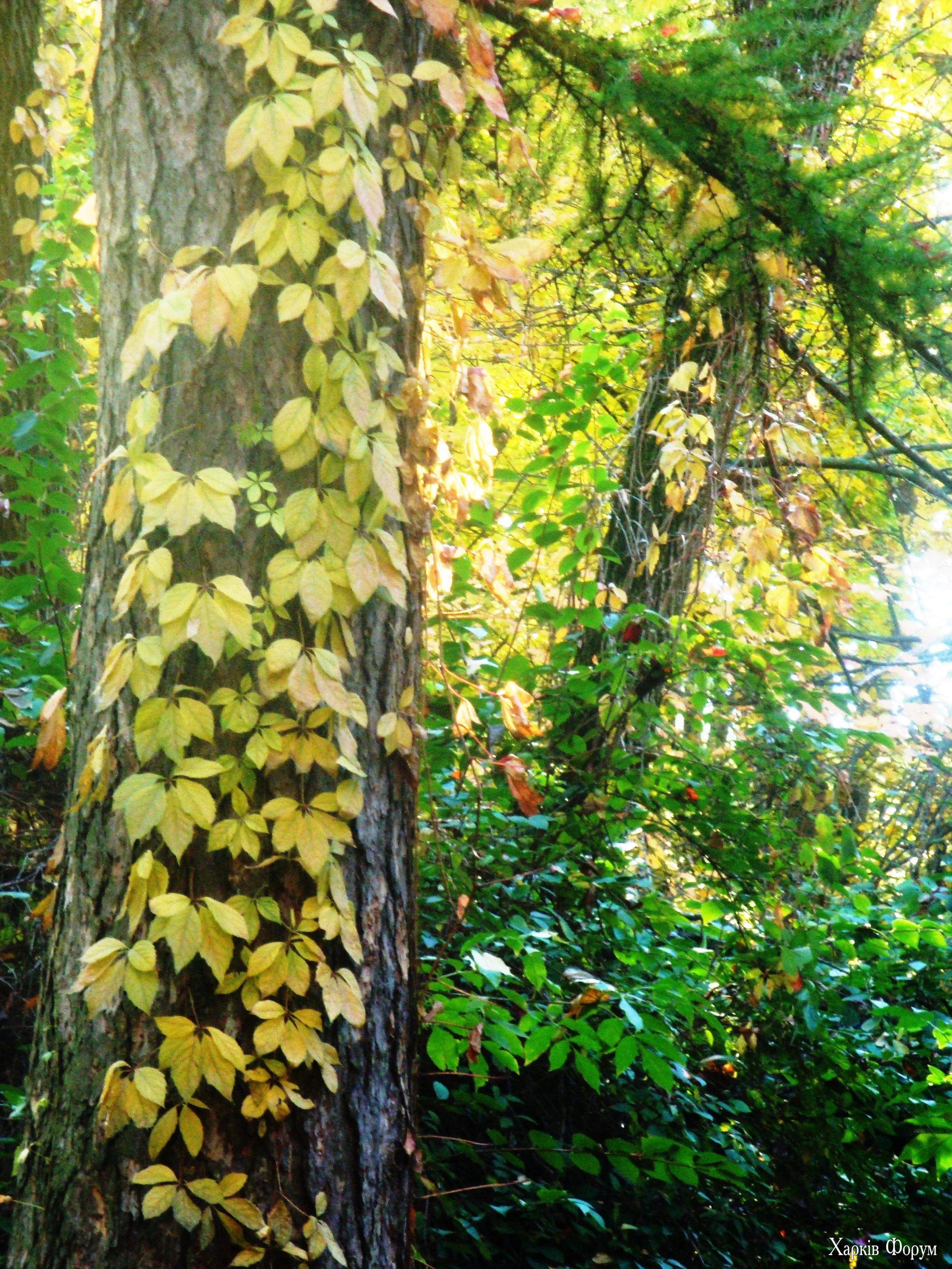 DSC08972.webp