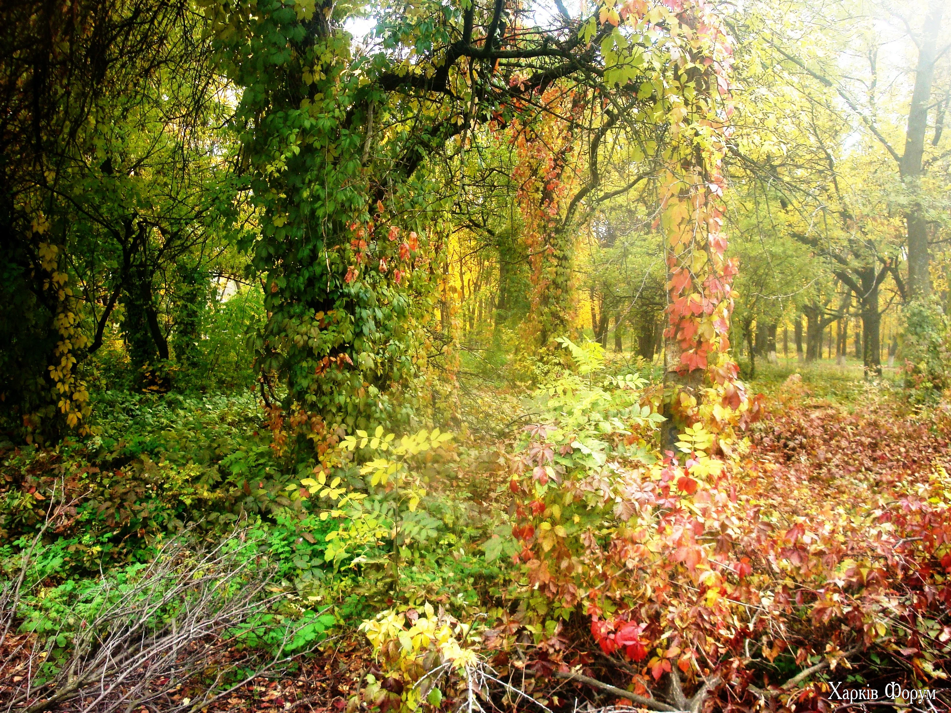 DSC09170.webp