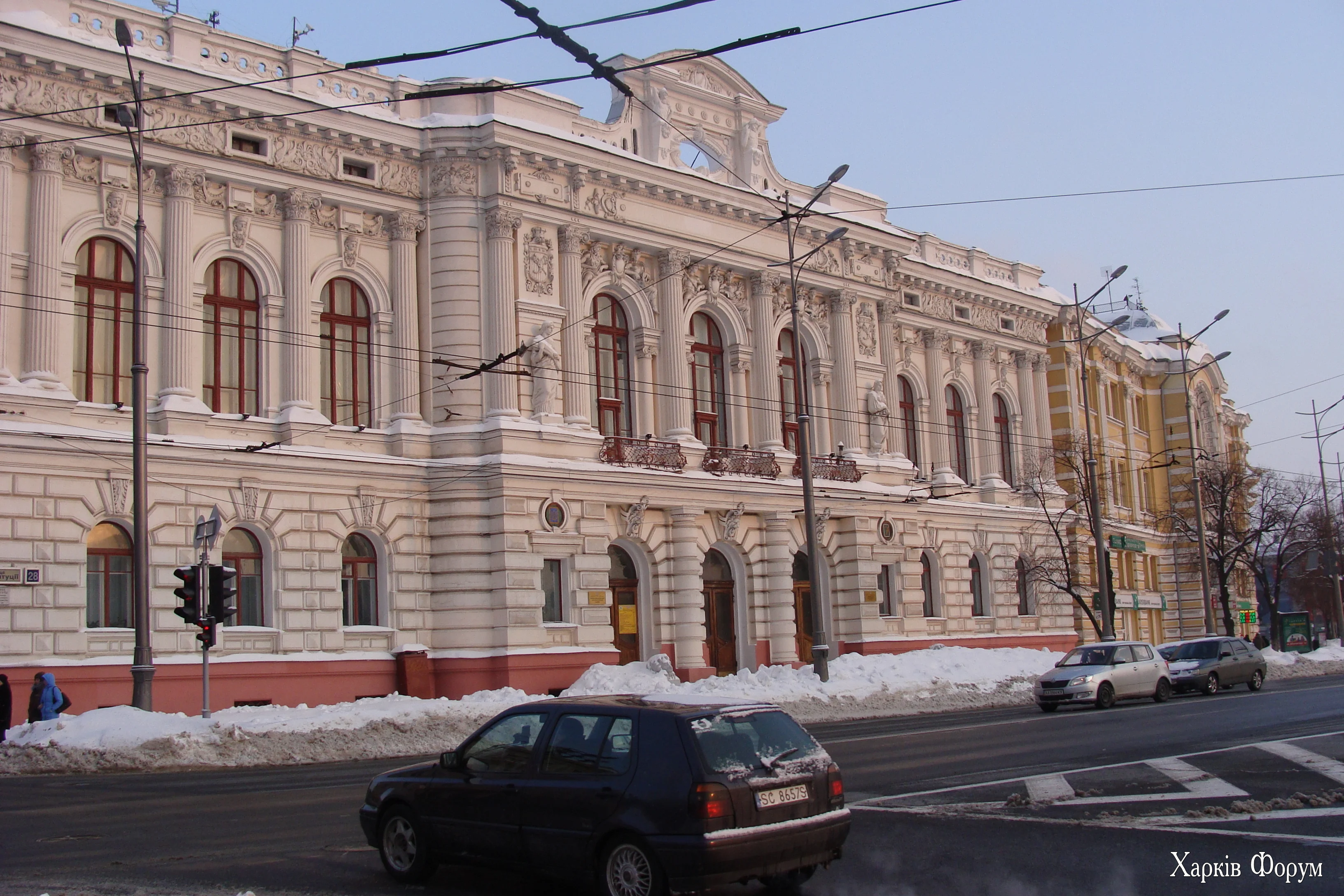 DSC09557.webp