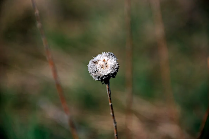 DSC_0021.webp