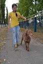 DSC_0053.webp