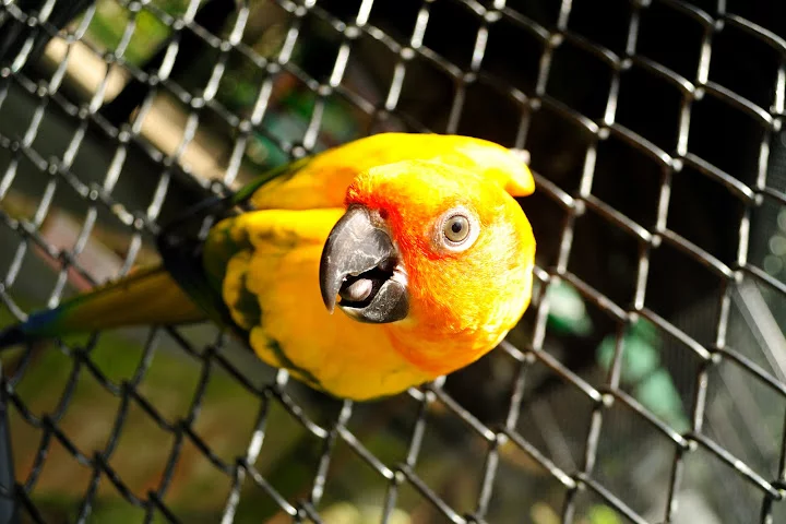 DSC_0054.webp