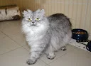 DSC_0107.webp