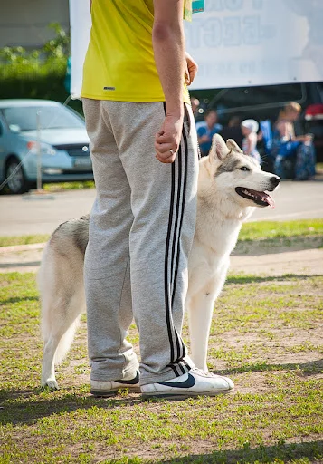 DSC_0129.webp