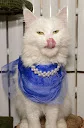 DSC_0181.webp