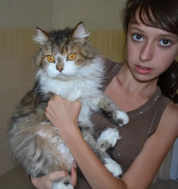 DSC_0205.webp