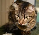 DSC_0207.webp