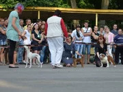 DSC_0348.webp