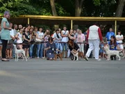 DSC_0351.webp