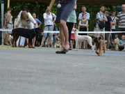 DSC_0364.webp