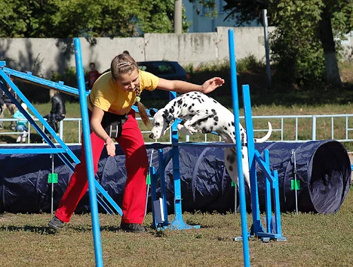 DSC_0449.webp