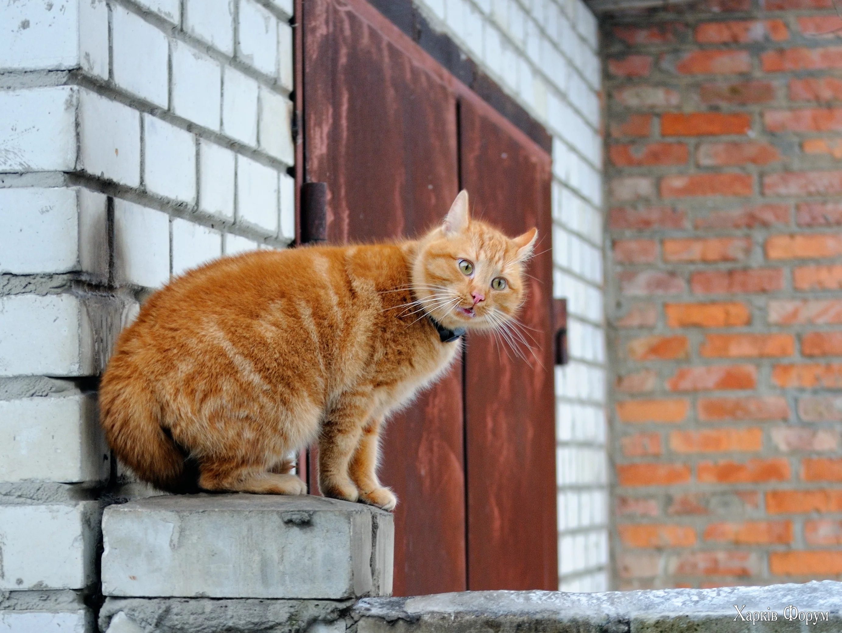 DSC_0475.webp