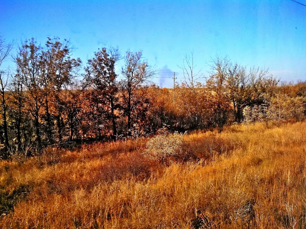 DSC_0680_tonemapped.webp